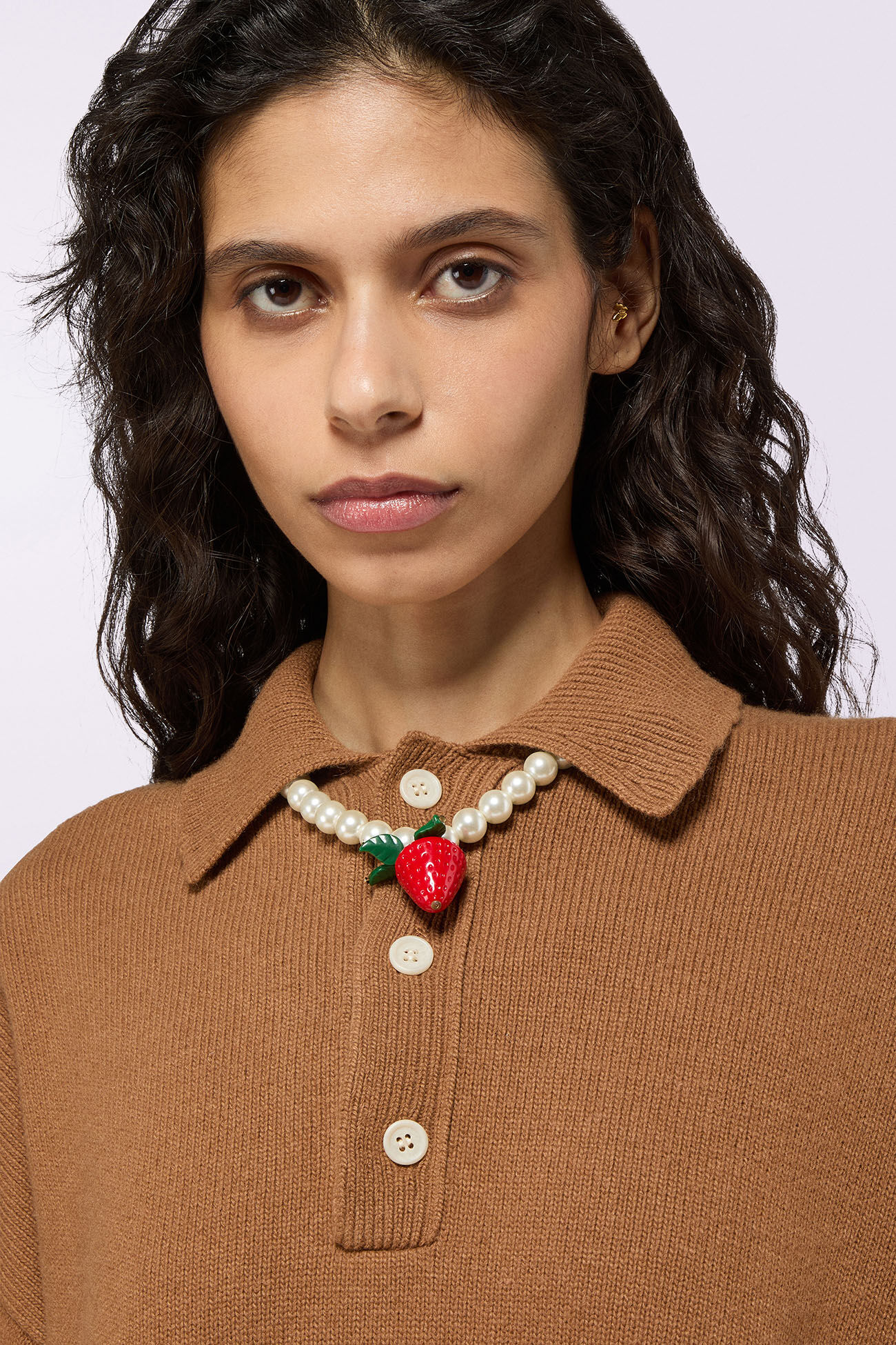 Embroidered Knit Polo Jumper Brown