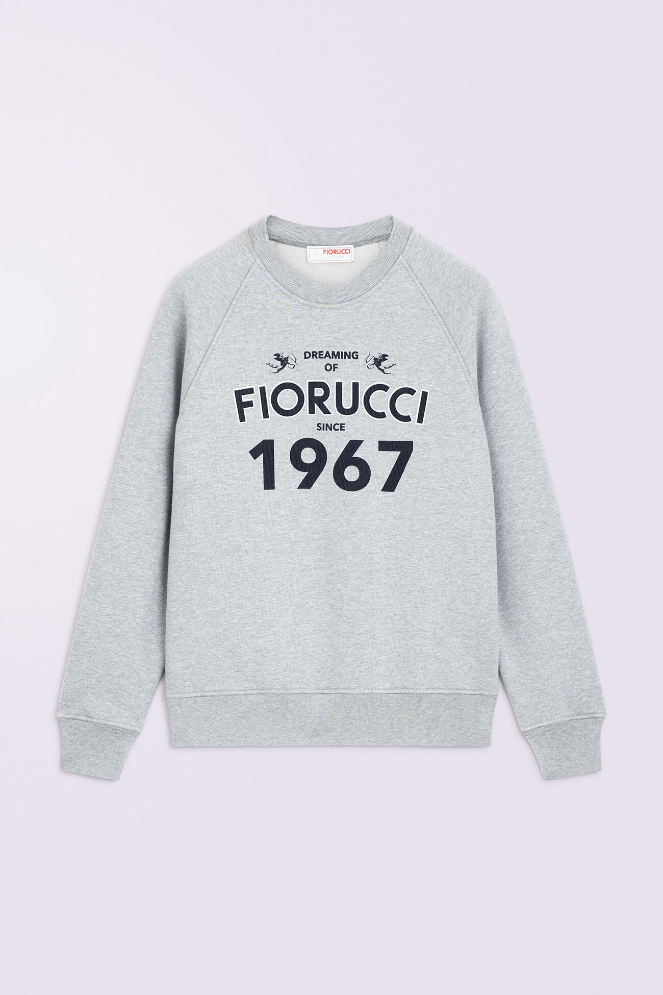 Dreaming 1967 Sweatshirt Grey