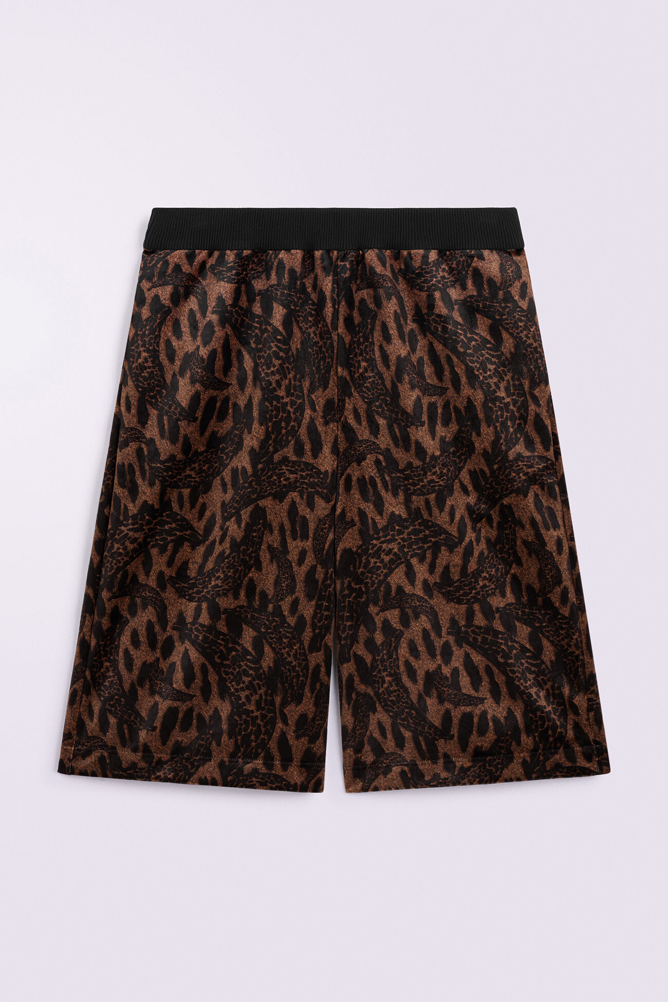 Banimalier Velour Bermuda Shorts Multi
