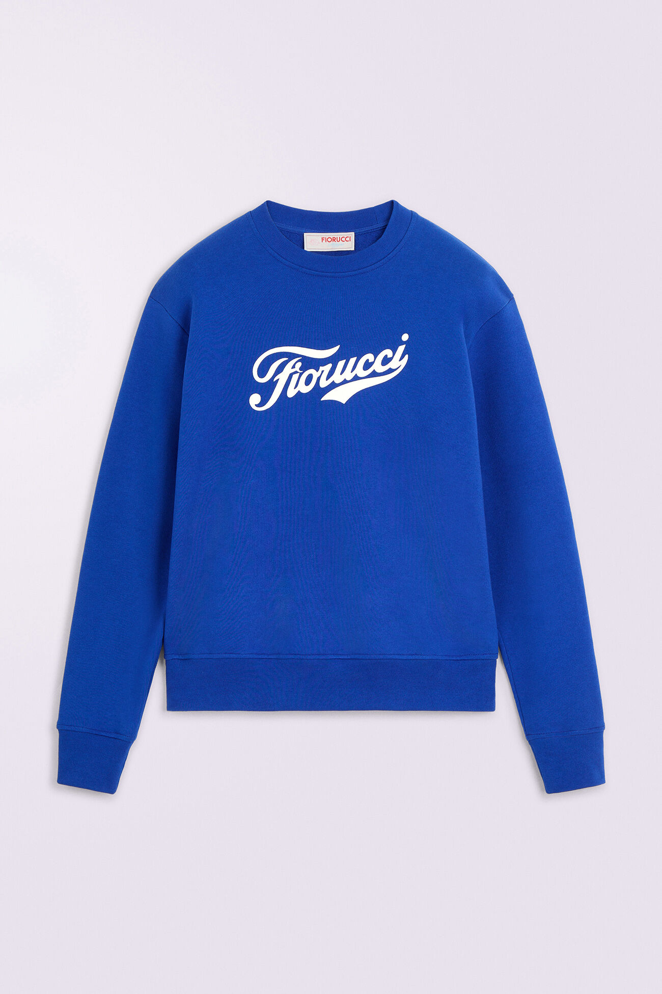 Varsity Logo Regular Sweatshirt Blue